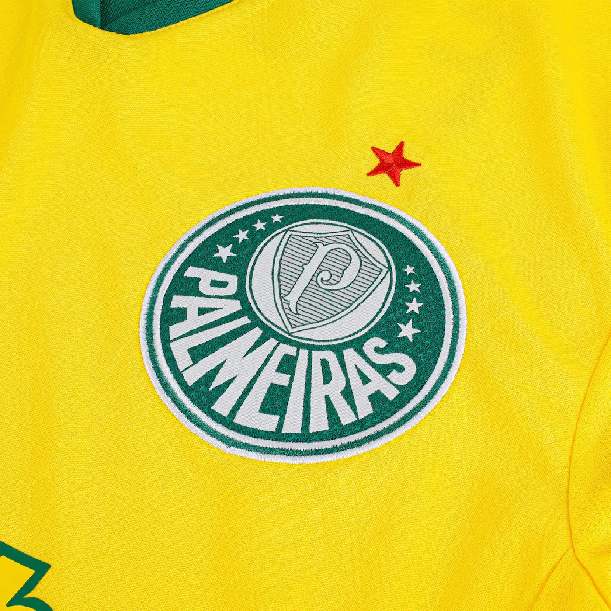 Camisa Palmeiras Third 25/26 - Feminina