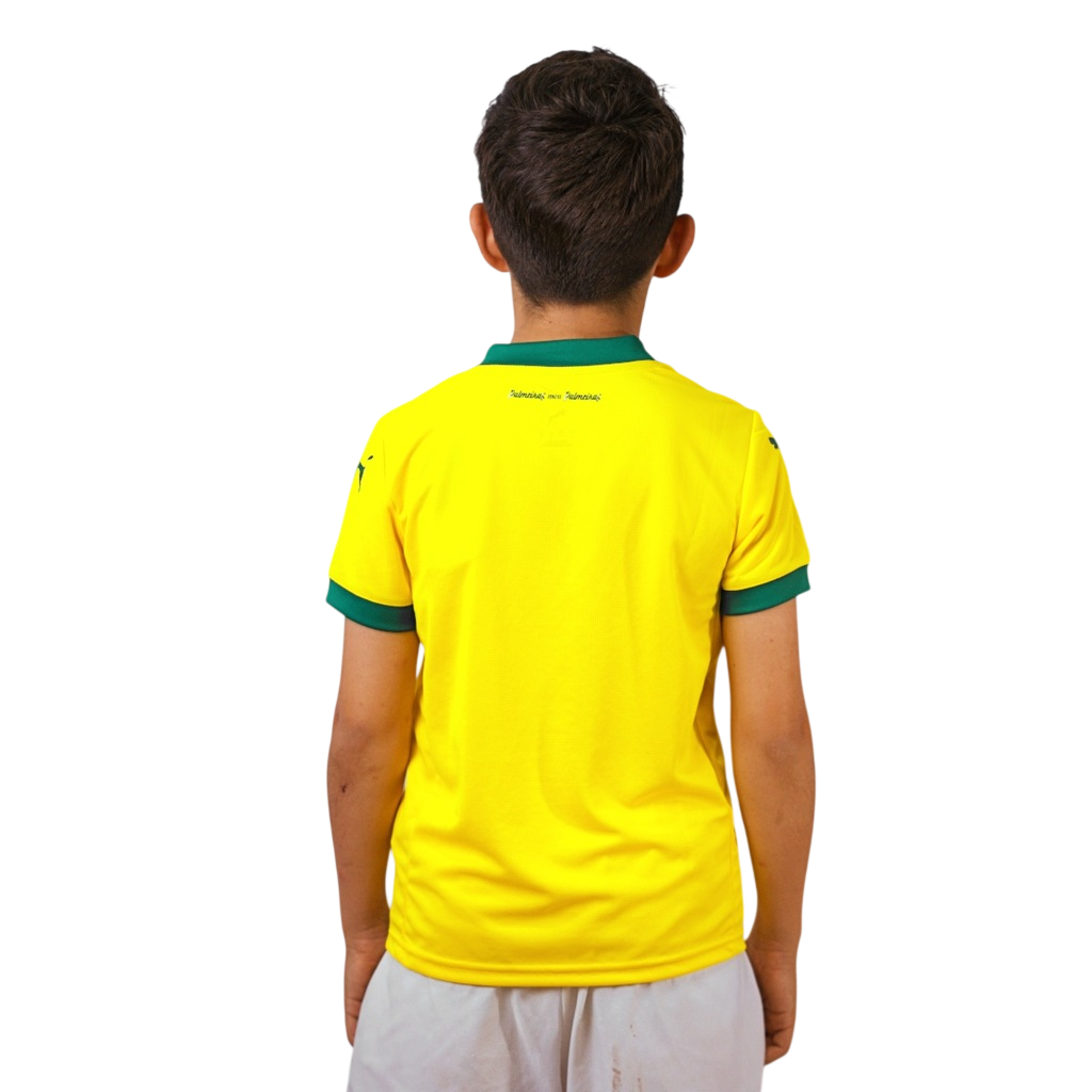Conjunto Infantil Palmeiras III 2025/2026