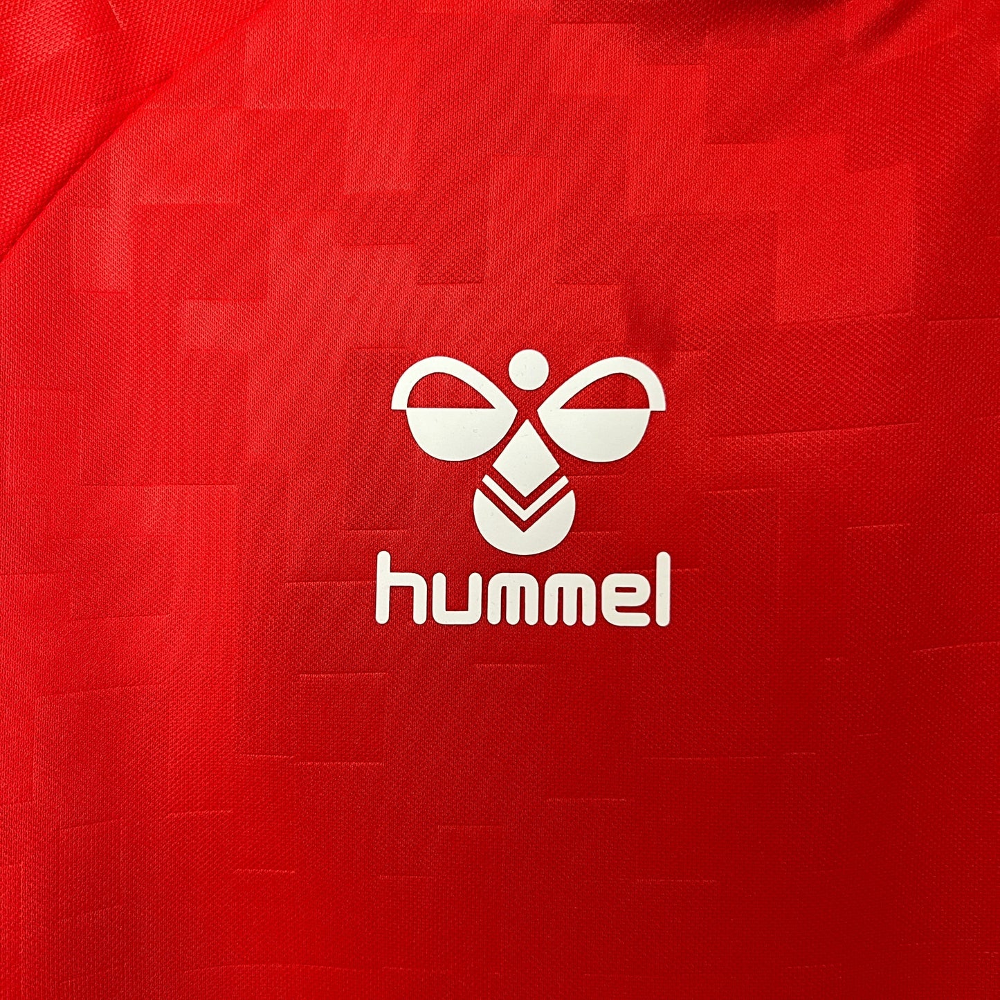 Camisa Dinamarca Home 24/25 - Torcedor Masculina Lançamento